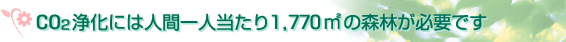 CO2浄化には人間一人当たり1,770㎡の森林が必要です 