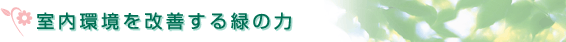 室内環境を改善する緑の力