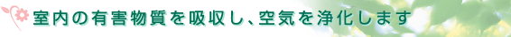 室内の有害物質を吸収し、空気を浄化します