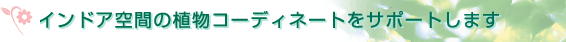 インドア空間の植物コーディネートをサポートします