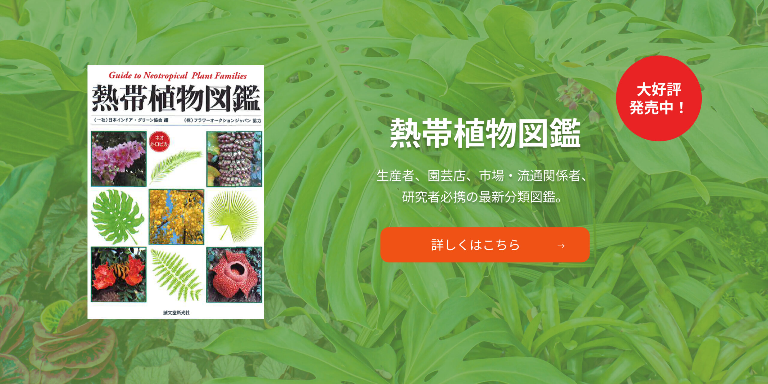 熱帯植物図鑑