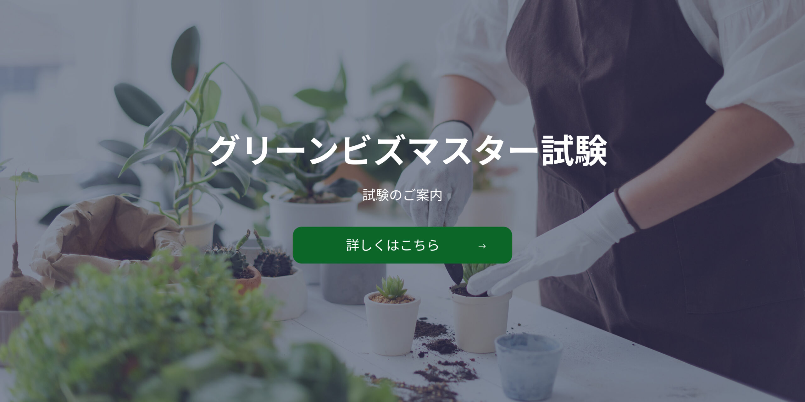 グリーンビズマスター認定試験